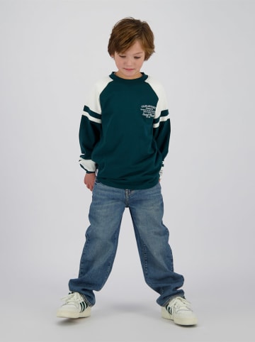 Vingino Longsleeve "Hunter" in Grün/ Weiß