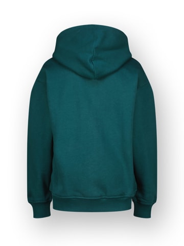 Vingino Sweatvest groen