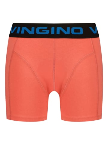 Vingino 5er-Set: Boxershorts in Bunt