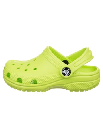 Crocs Chodaki w kolorze zielonym