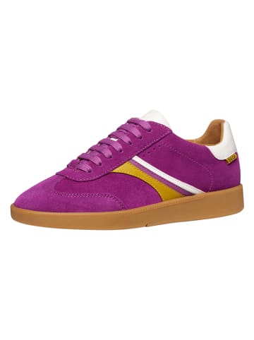Geox Leder-Sneakers "Meleda" in Lila