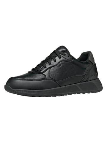 Geox Sneakers "Molveno" in Schwarz