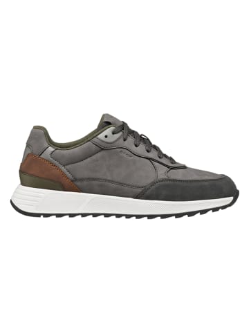 Geox Sneakers "Molveno" grijs