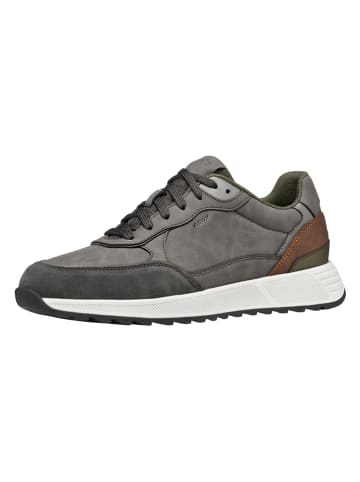 Geox Sneakers "Molveno" grijs