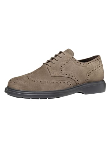 Geox Leder-Schnürschuhe "Ottavio" in Taupe