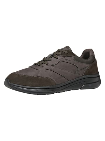 Geox Sneakers "Klaiver" in Braun