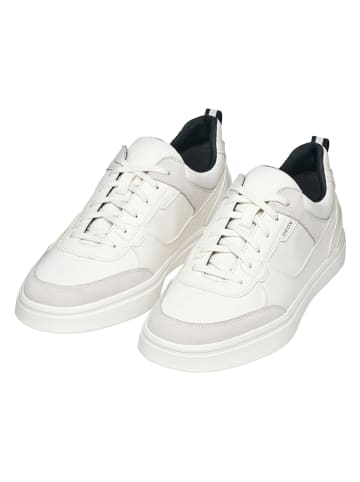 Geox Sneakers "Baltmoore" wit