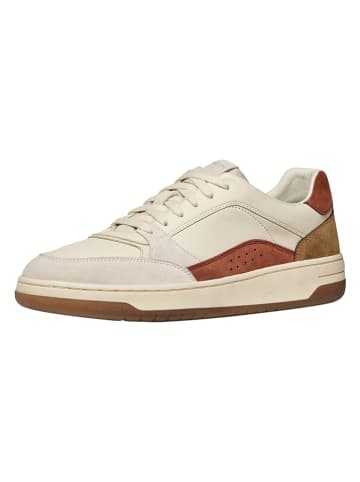 Geox Leren sneakers "Sedral Court" crème/lichtbruin