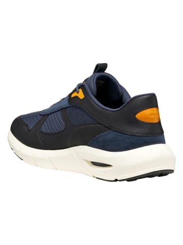 Geox Sneakers "Spherica Ecub-5" in Dunkelblau