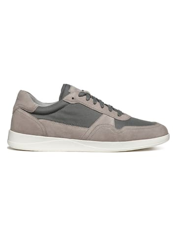 Geox Leder-Sneakers "Kennet" in Grau