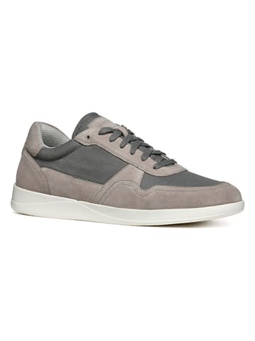 Geox Leder-Sneakers "Kennet" in Grau