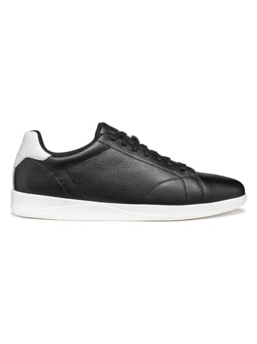 Geox Leder-Sneakers in Schwarz