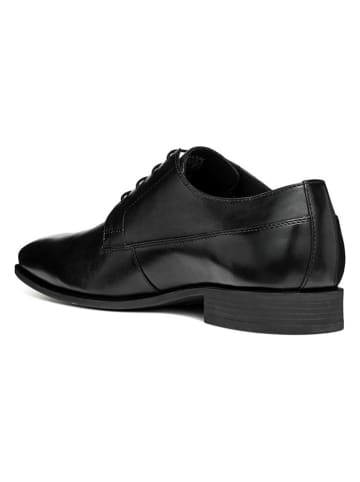 Geox Leren veterschoenen "High Life" zwart