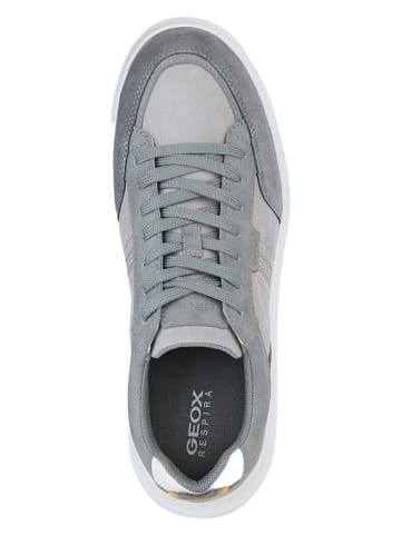 Geox Sneakers "Merediano" in Grau