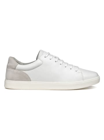 Geox Skórzane sneakersy "Avola" w kolorze biało-szarym