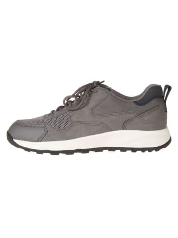 Geox Sneakers in Grau