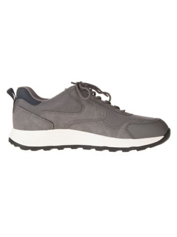Geox Sneakers in Grau