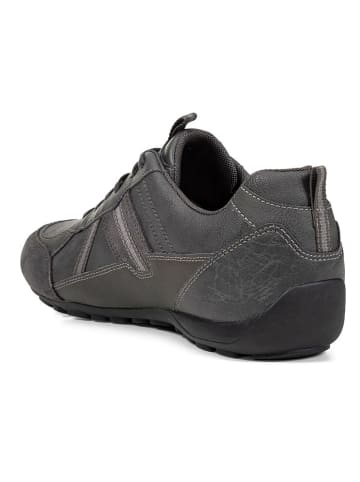 Geox Leder-Sneakers "Ravex" in Grau