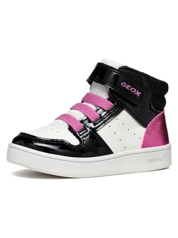 Geox Sneakers "Eclyper" in Weiß/ Schwarz