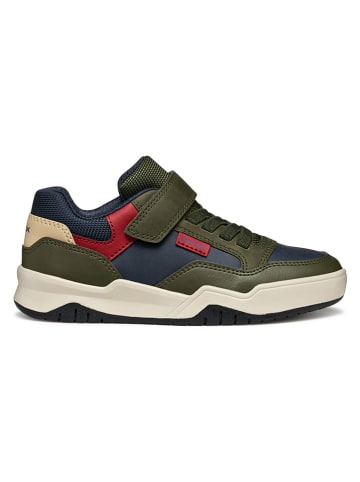 Geox Sneakers "Perth" in Khaki