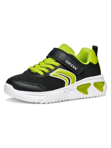 Geox Sneakers "Assister" zwart
