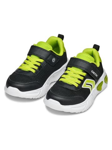 Geox Sneakers "Assister" in Schwarz