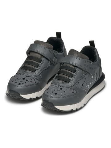 Geox Sneakers "Fastics" grijs