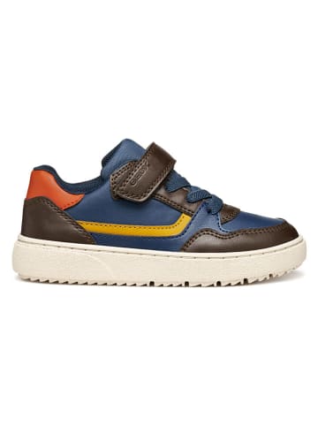 Geox Sneakers "Theleven" in Blau/ Braun