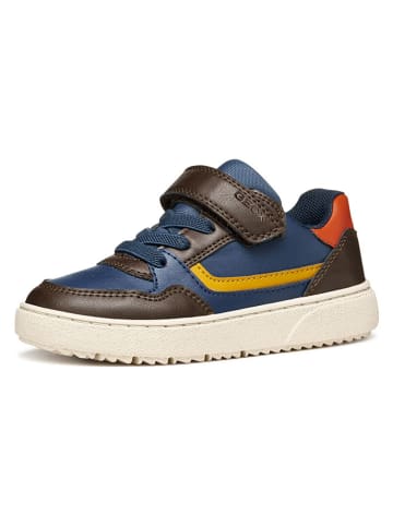 Geox Sneakers "Theleven" in Blau/ Braun
