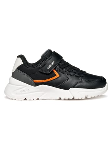 Geox Sneakers "Loftus" zwart