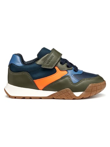 Geox Sneakers "Rann" kaki/blauw