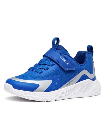 Geox Sneakers "Sprintye" blauw