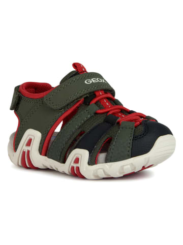 Geox Halbsandalen "Kraze" in Khaki