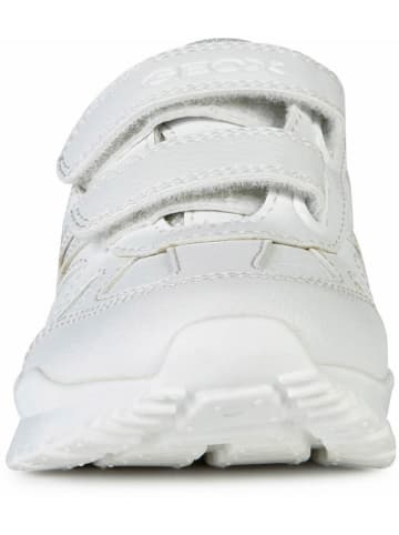 Geox Sneakers "Pavel" wit