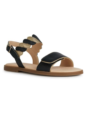 Geox Sandalen "Karly" zwart