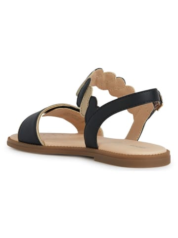 Geox Sandalen "Karly" zwart