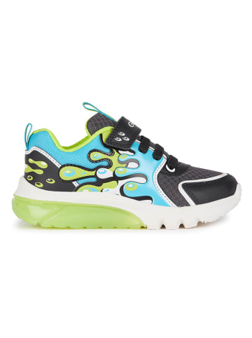 Geox Sneakers "Lights - Ciberdron" donkerblauw/groen