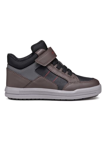 Geox Sneakers "Arzach" in Schwarz/ Braun