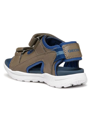 Geox Sandalen "Vaniett" bruin/blauw