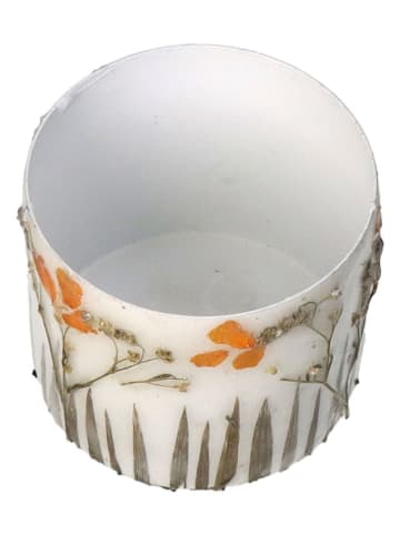 Kersten 3er-Set: Blumentöpfe "Dried Flowers" in Creme - (H)8 x Ø 9 cm