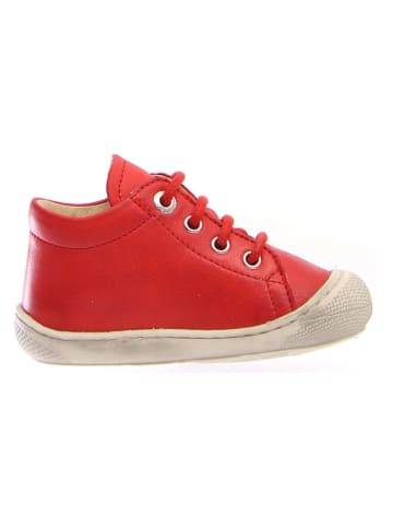Naturino Leder-Lauflernschuhe "Cocoon" in Rot