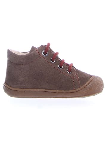 Naturino Leren sneakers "Cocoon" bruin