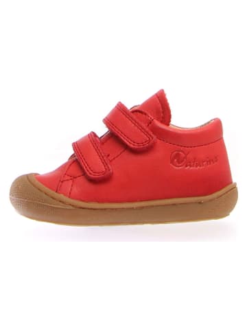 Naturino Leren loopleerschoenen "Cocoon" rood