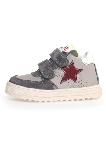 Naturino Leren sneakers "Hess high" grijs