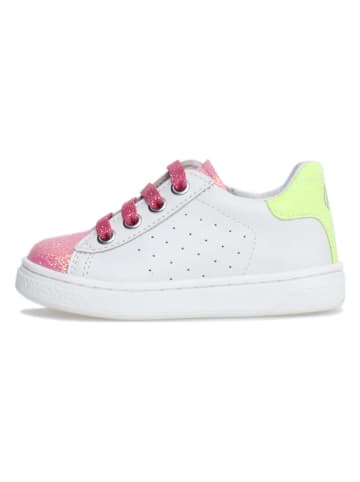 Naturino Leder-Sneakers "Hasselt" in Weiß/ Bunt