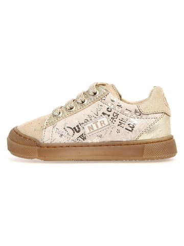 Naturino Leder-Sneakers "Faluk" in Beige/ Gold