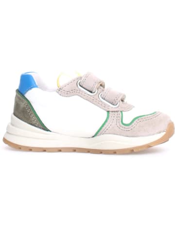 Naturino Leder-Sneakers "Argal" in Hellblau/ Beige/ Weiß