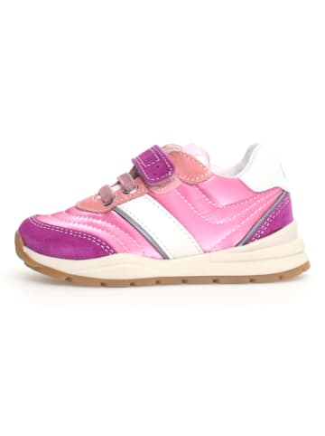 Naturino Sneakers "Ascal" in Pink/ Lila