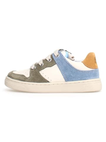 Naturino Leder-Sneakers "Folre" in Bunt