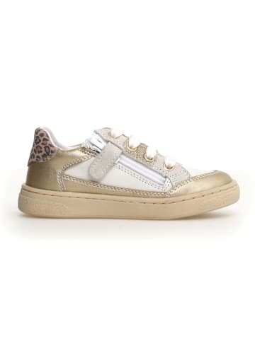 Naturino Sneakers "Picho" in Weiß/Beige